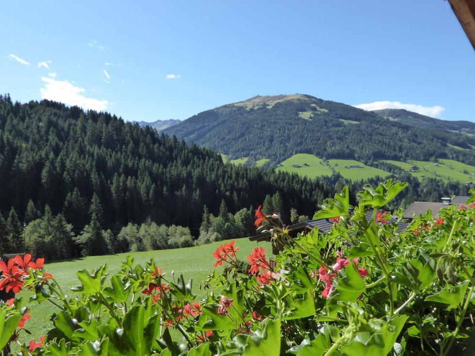 Alpbacher Appartementhaus Johannes Exterior photo